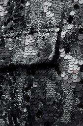 ZW COLLECTION SEQUIN JACKET